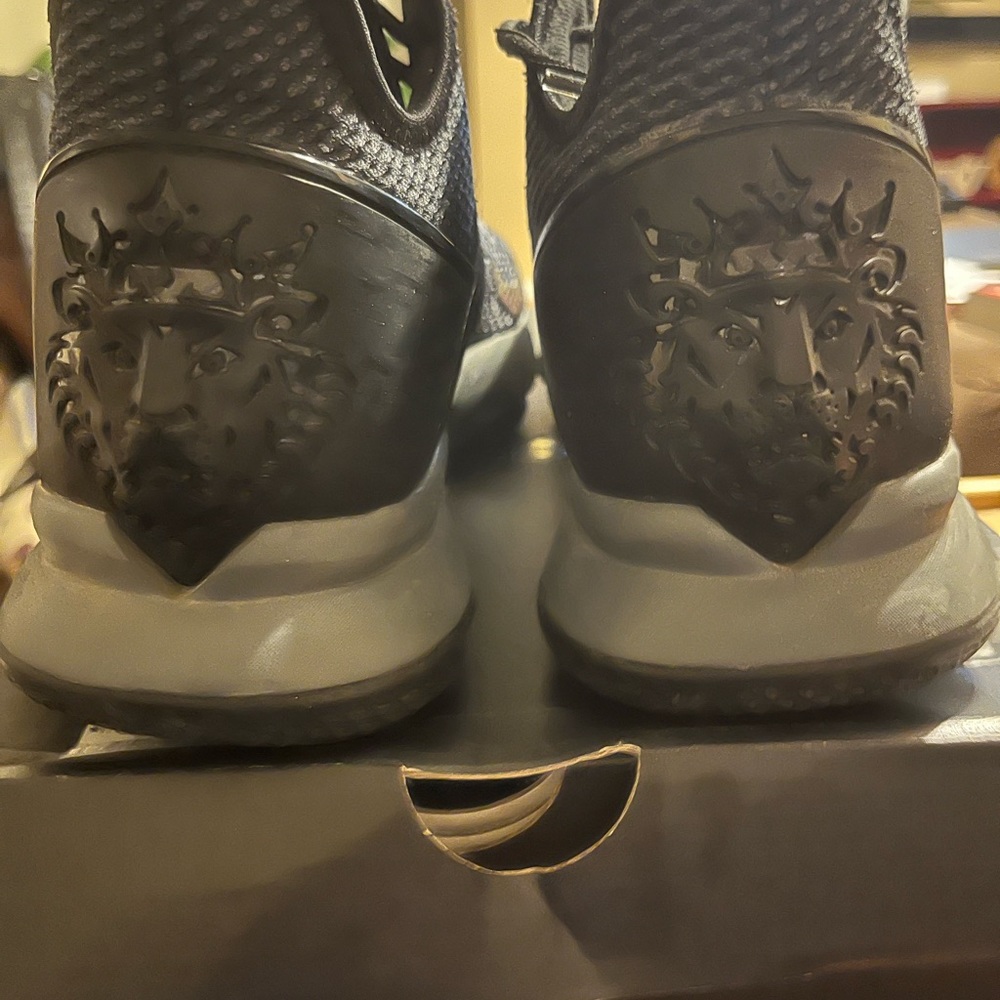 Lebron Witness - Picture 2 of 3
